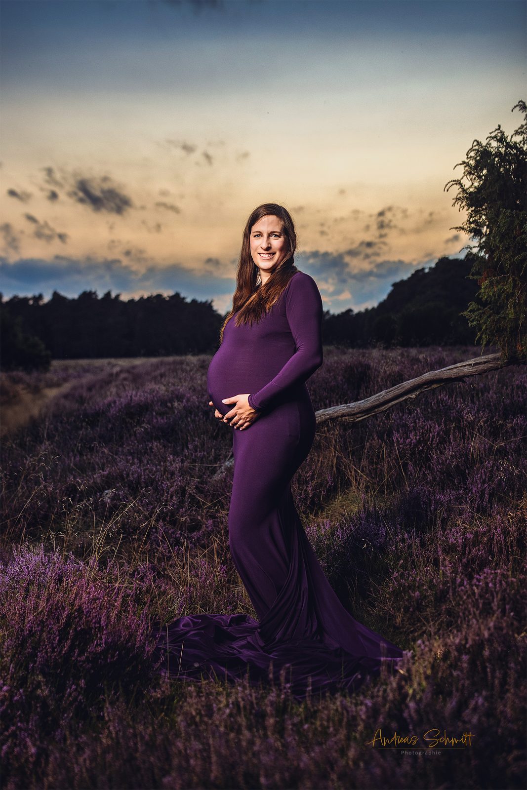 Schwangere im violetten Kleid in der blühenden Heide